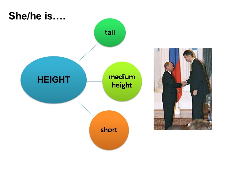 HEIGHT She/he is….